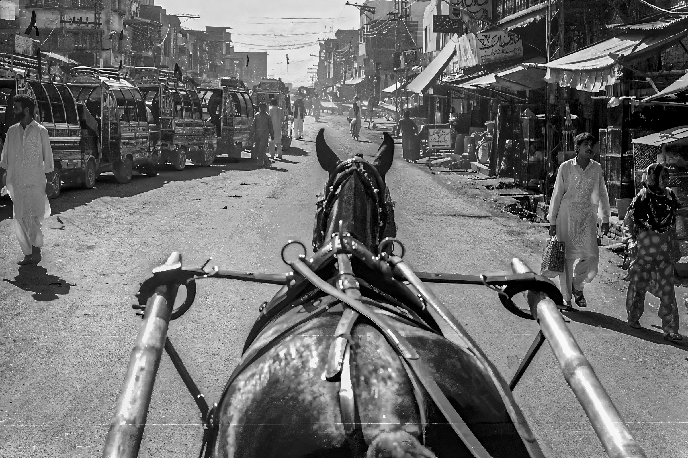 Horse Carriage, Pakistan