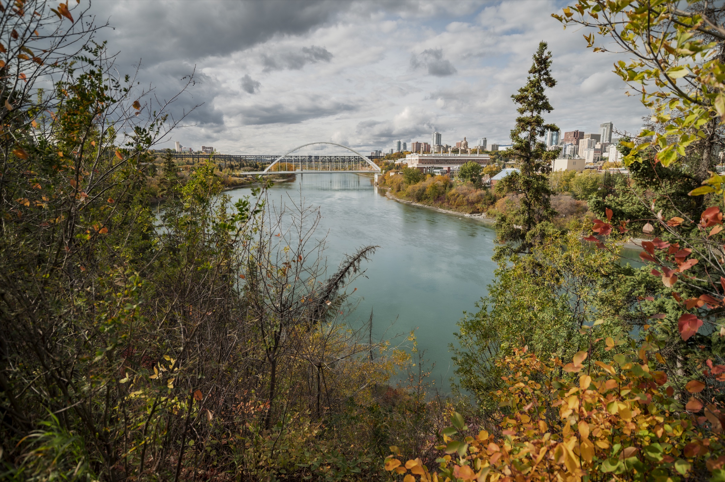 Edmonton skyline and river valley framed by autumn foliage