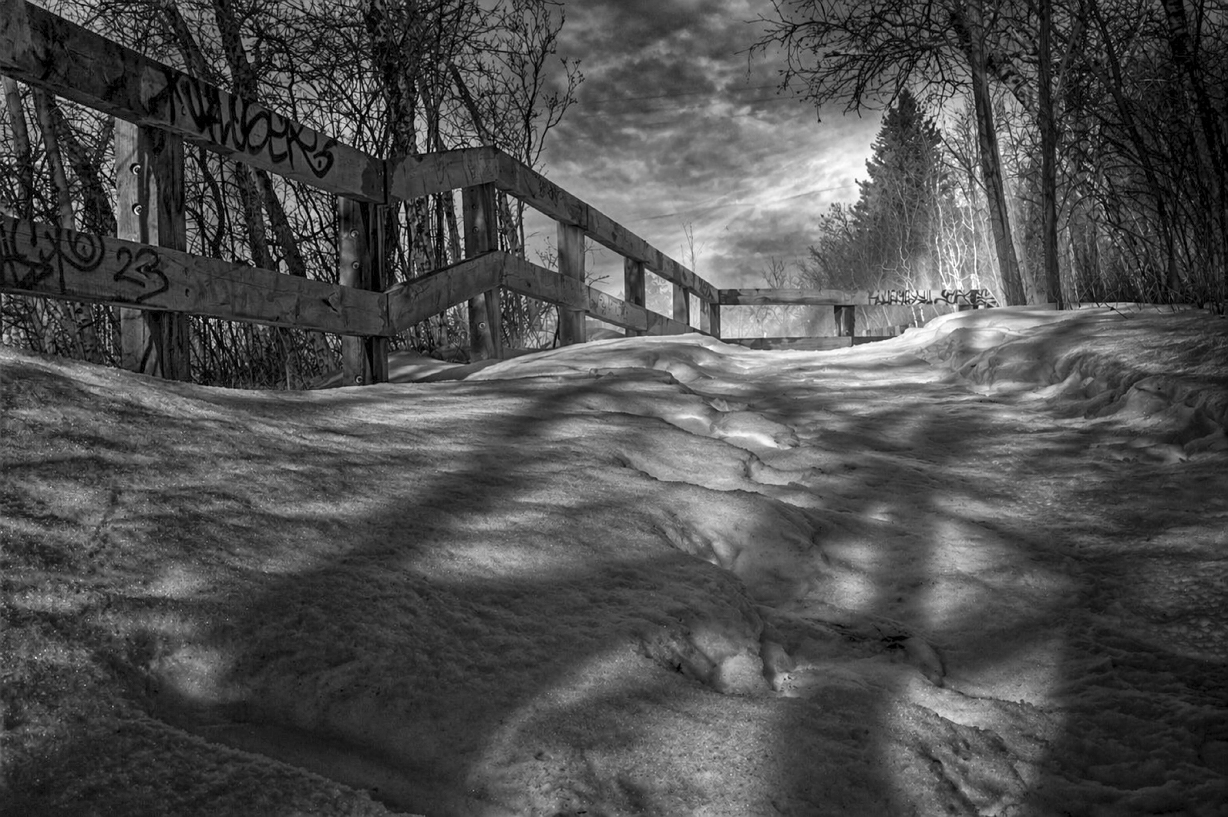 A snow-covered Edmonton path beside a weathered wooden fence