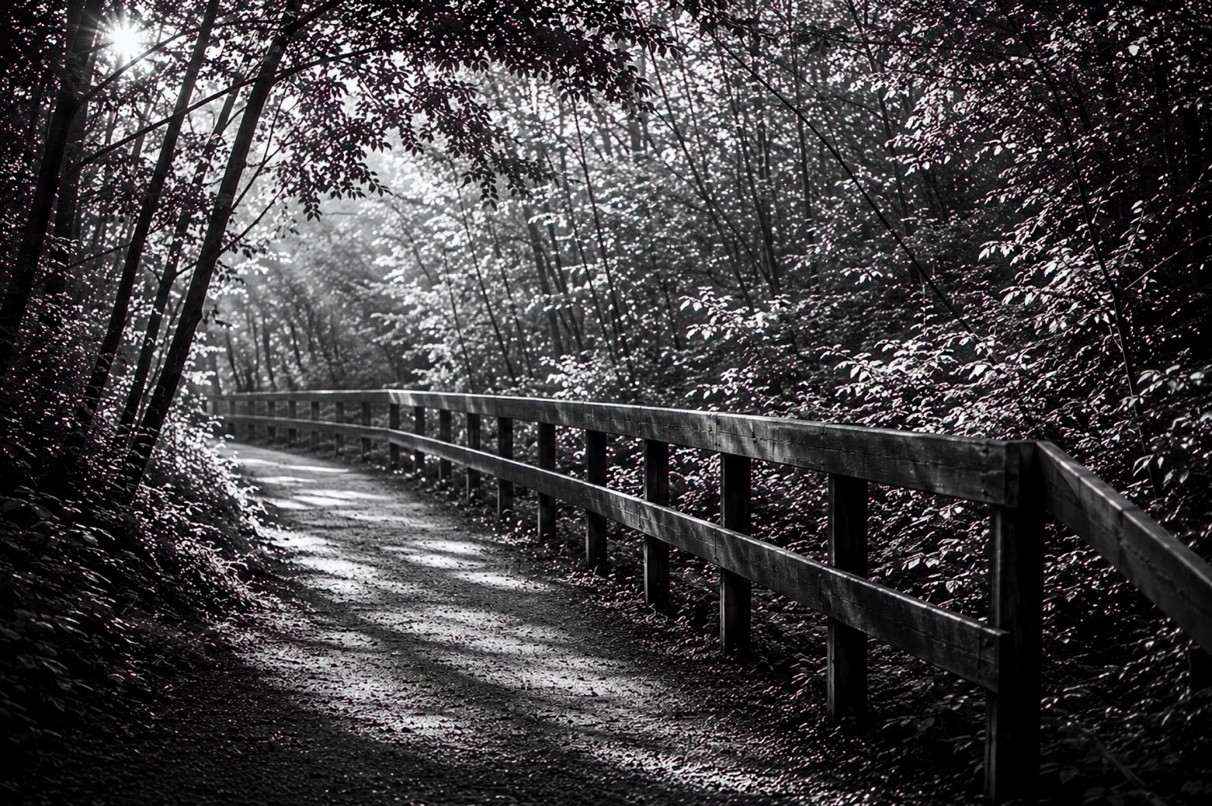Through the Trees