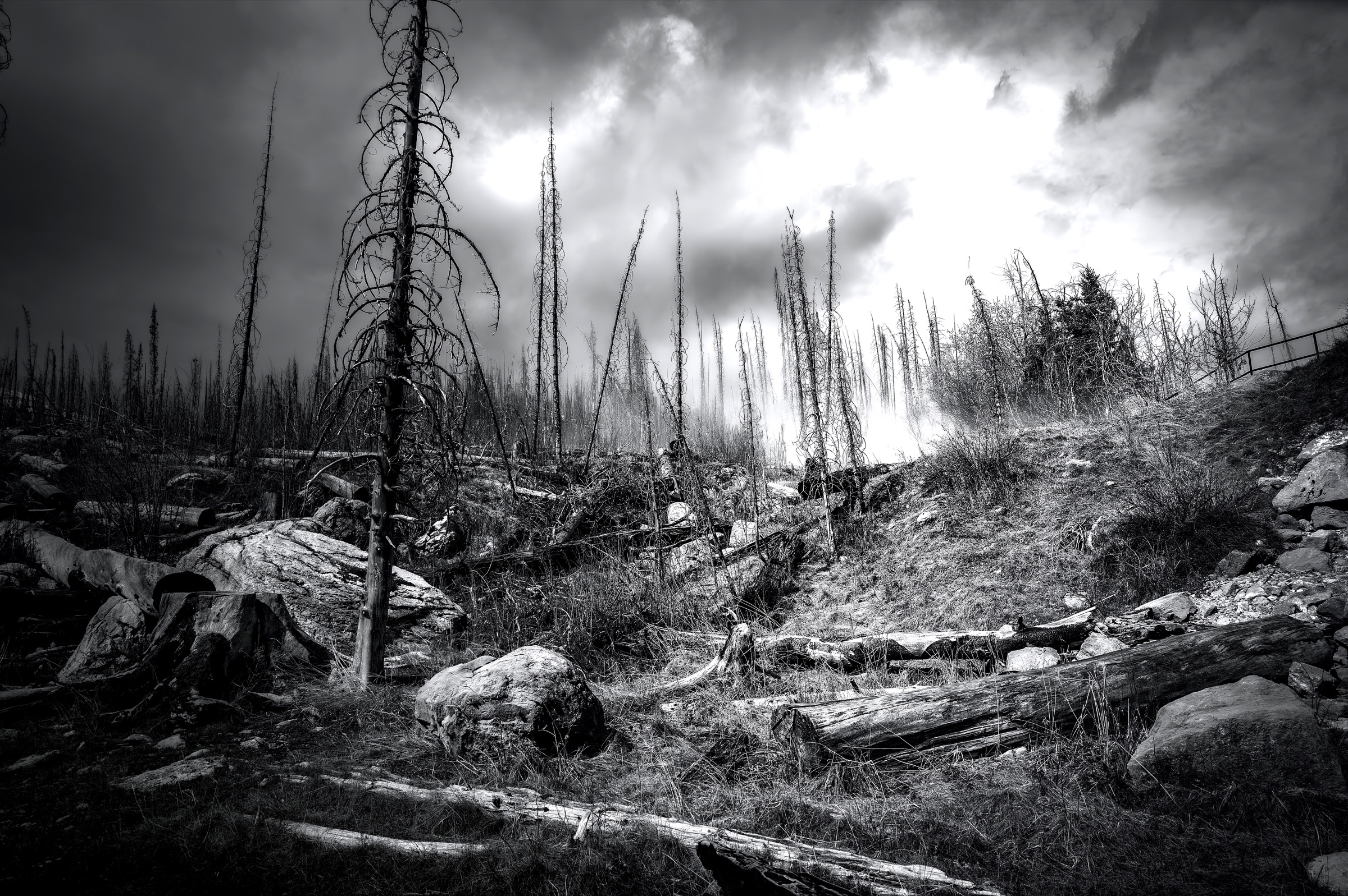 After the Fire