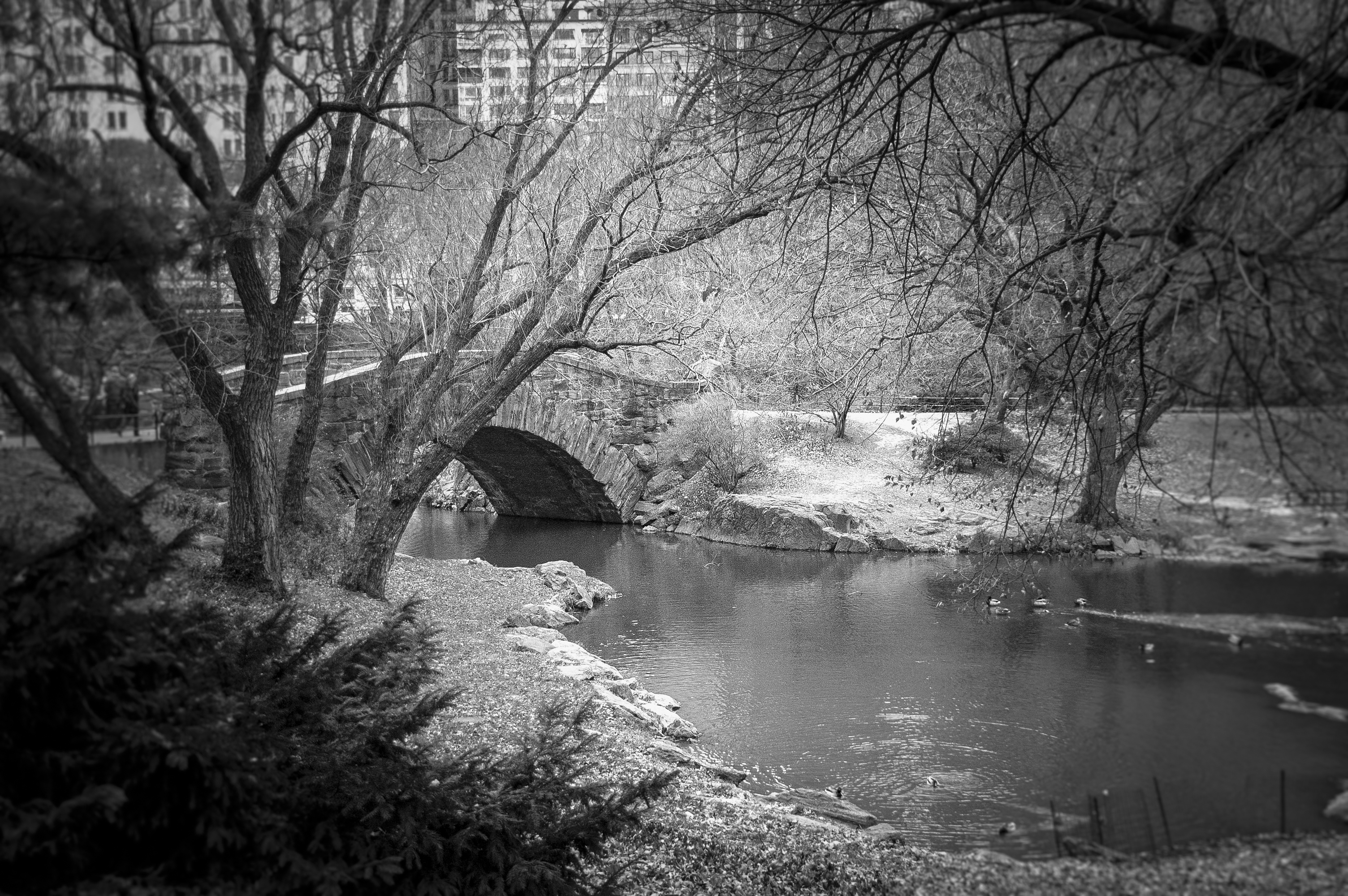 Stone bridge in Central Park