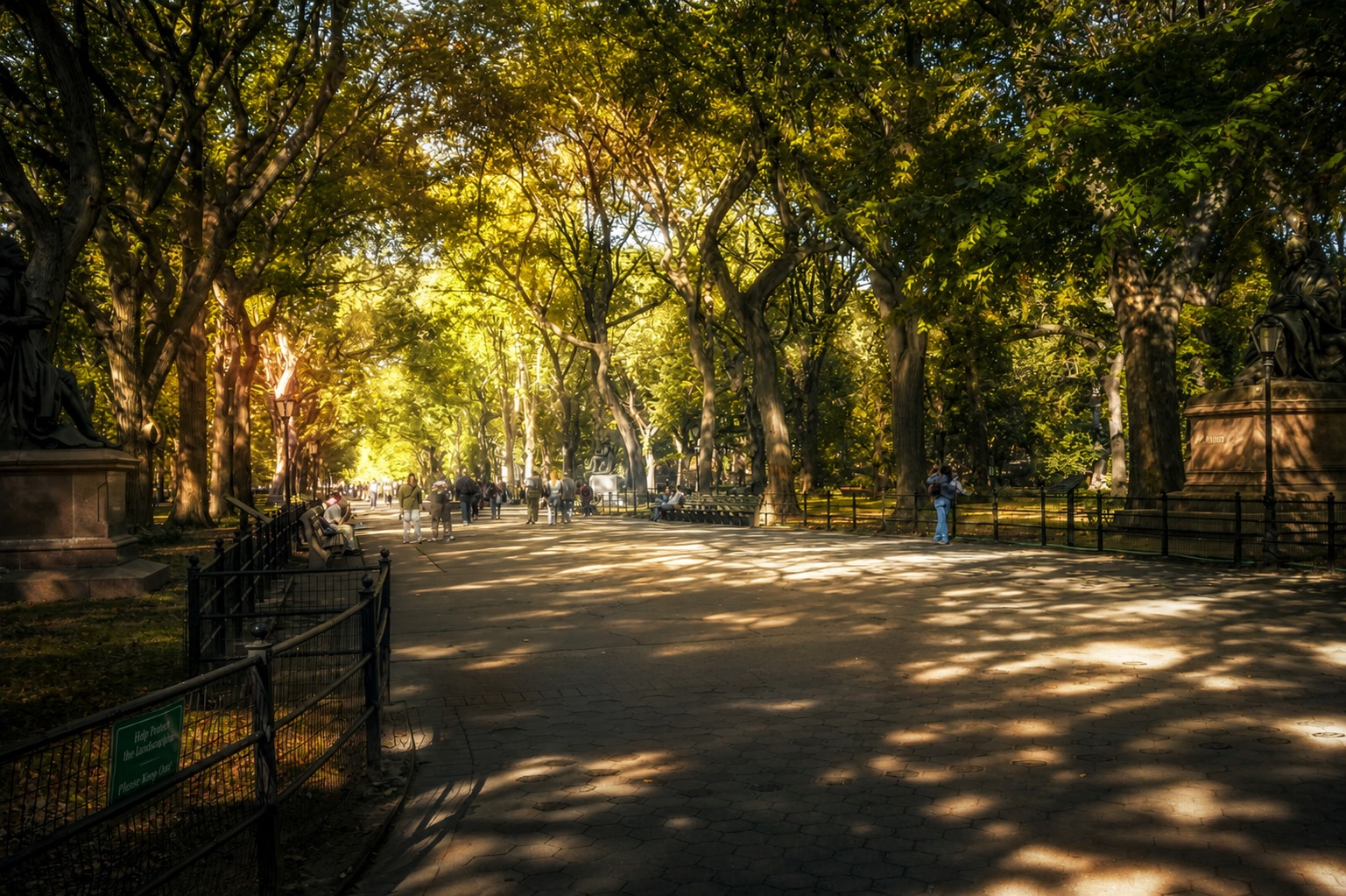 Sunlit walkway in Central Park
